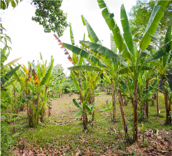 Products2 Place caption here.